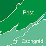 Diffuzi�s kartogram-t�rk�p Magyarorsz�gr�l