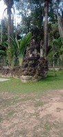 20250417_094441.jpg 20250417_094441.jpg