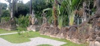 20250417_094513.jpg 20250417_094513.jpg