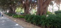 20250502_120018.jpg 20250502_120018.jpg