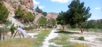 20250501_123410.jpg 20250501_123410.jpg