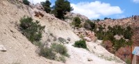 20250501_123536.jpg 20250501_123536.jpg