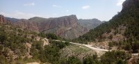 20250501_123541.jpg 20250501_123541.jpg
