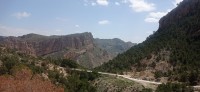 20250501_123609.jpg 20250501_123609.jpg