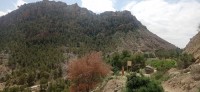 20250501_123612.jpg 20250501_123612.jpg