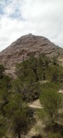 20250501_123935.jpg 20250501_123935.jpg