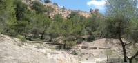 20250501_123953.jpg 20250501_123953.jpg