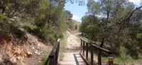 20250501_124035.jpg 20250501_124035.jpg