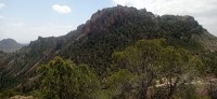 20250501_124303.jpg 20250501_124303.jpg