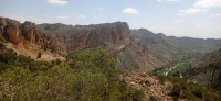 20250501_124323.jpg 20250501_124323.jpg