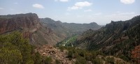 20250501_124325.jpg 20250501_124325.jpg