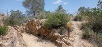 20250501_124740.jpg 20250501_124740.jpg