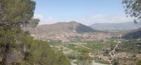 20250501_124753.jpg 20250501_124753.jpg