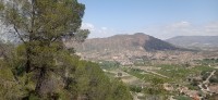 20250501_124755.jpg 20250501_124755.jpg