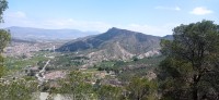 20250501_124804.jpg 20250501_124804.jpg