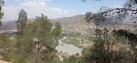 20250501_124918.jpg 20250501_124918.jpg