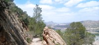 20250501_124949.jpg 20250501_124949.jpg