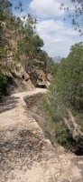 20250501_125209.jpg 20250501_125209.jpg
