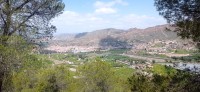 20250501_130311.jpg 20250501_130311.jpg