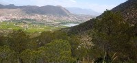20250501_131805.jpg 20250501_131805.jpg