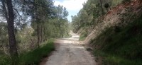 20250501_132925.jpg 20250501_132925.jpg