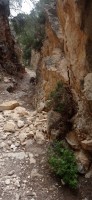20250501_133916.jpg 20250501_133916.jpg