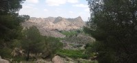 20250501_134045.jpg 20250501_134045.jpg