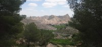 20250501_134052.jpg 20250501_134052.jpg