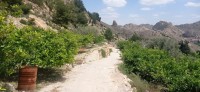 20250501_134436.jpg 20250501_134436.jpg