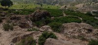 20250501_135230.jpg 20250501_135230.jpg