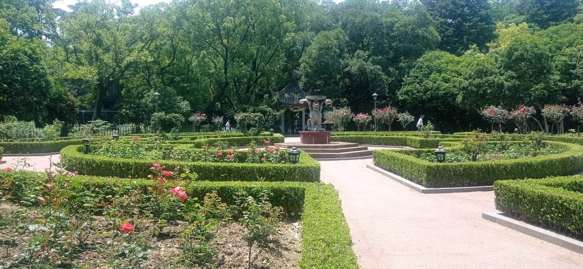 20250529_113714.jpg