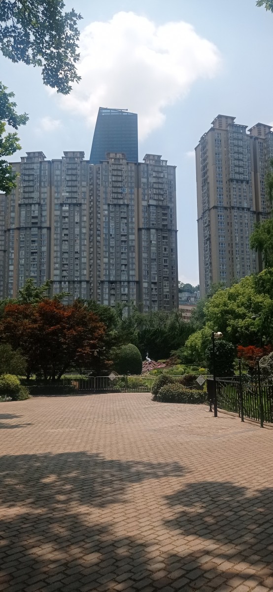 20250529_120106.jpg