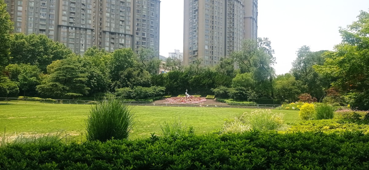 20250529_120158.jpg