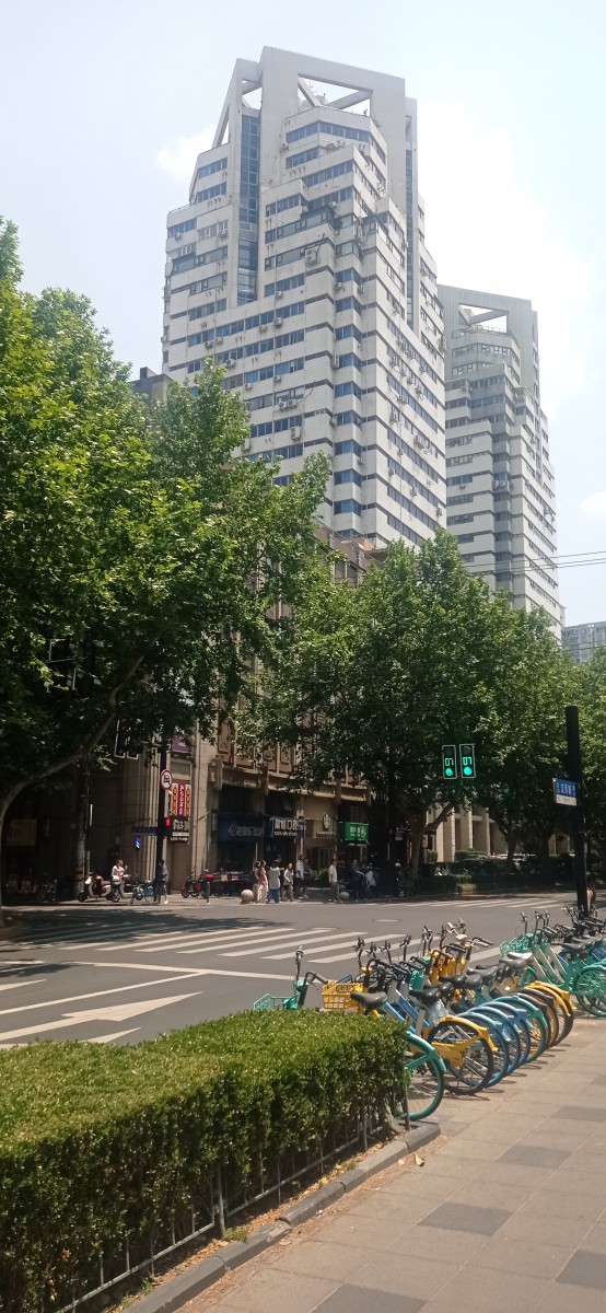 20250529_122400.jpg