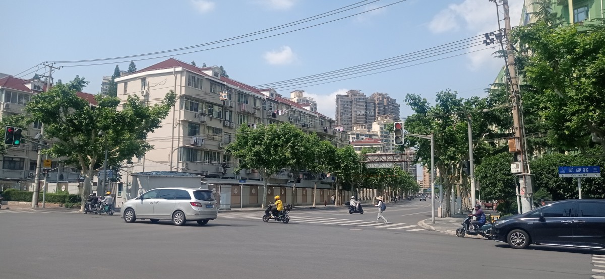 20250529_141325.jpg