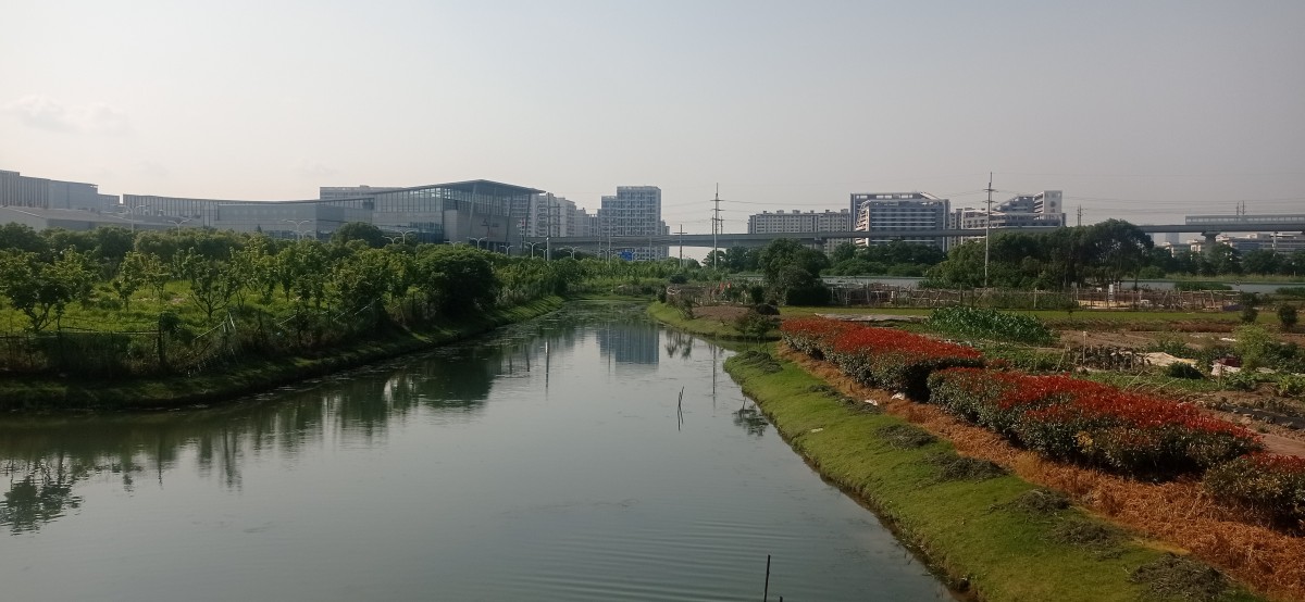 20250529_153417.jpg
