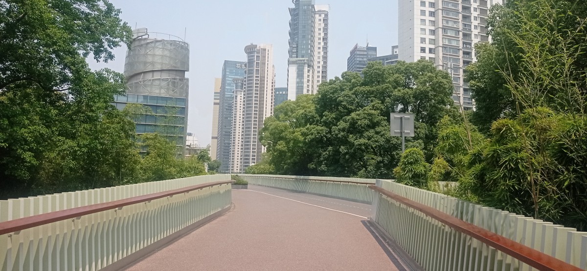 20250530_104816.jpg
