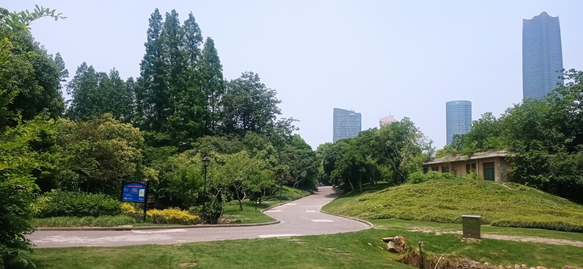 20250530_113510.jpg