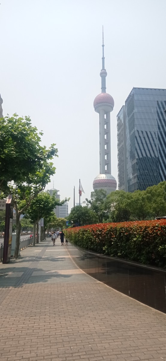 20250530_115308.jpg