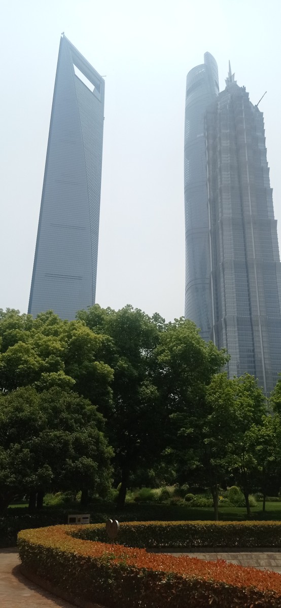 20250530_120145.jpg