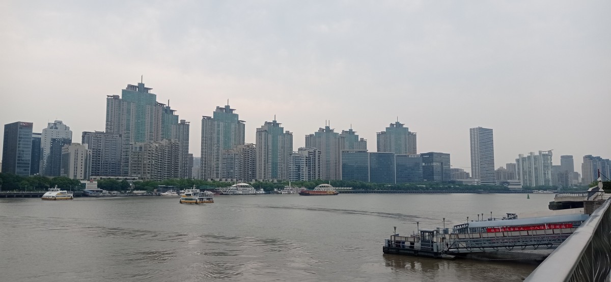 20250531_113141.jpg