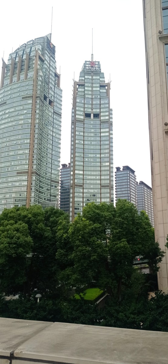 20250531_113256.jpg