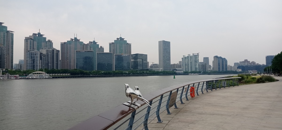 20250531_113557.jpg