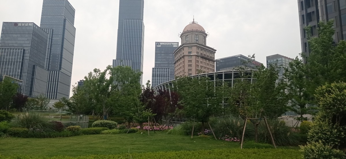 20250531_114929.jpg