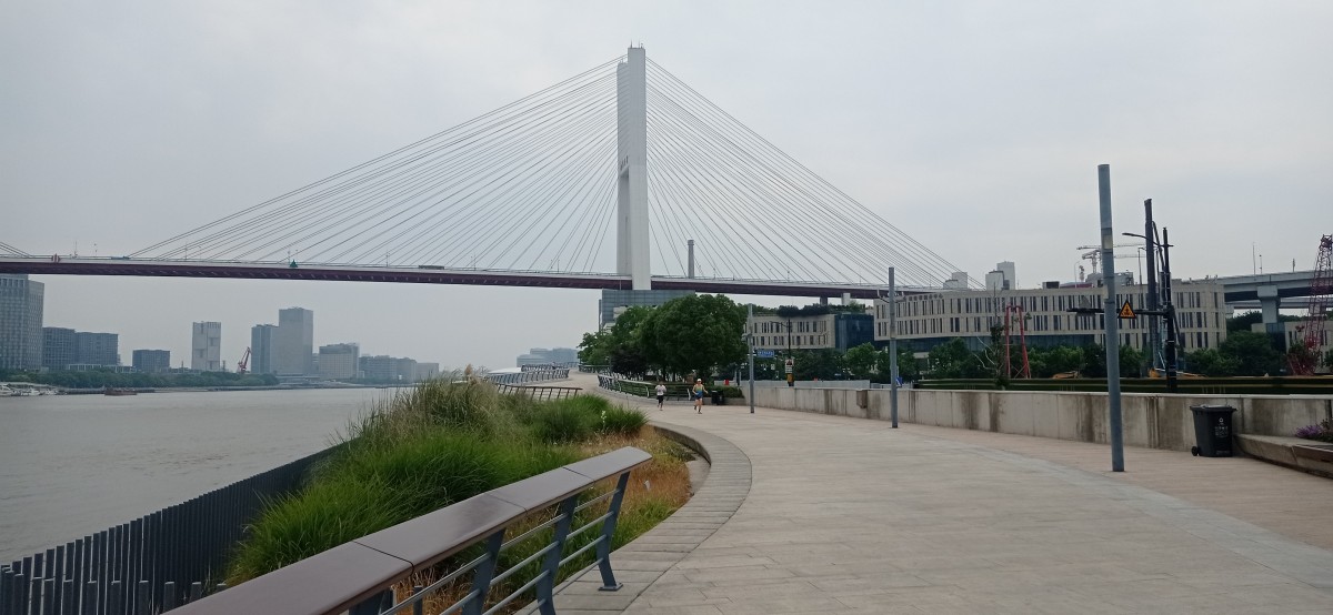 20250531_115900.jpg