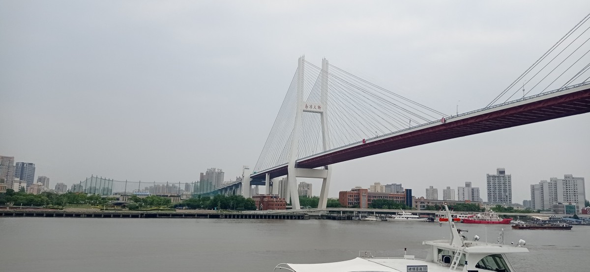 20250531_120252.jpg