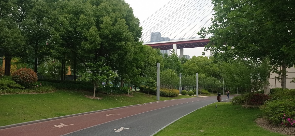 20250531_120855.jpg