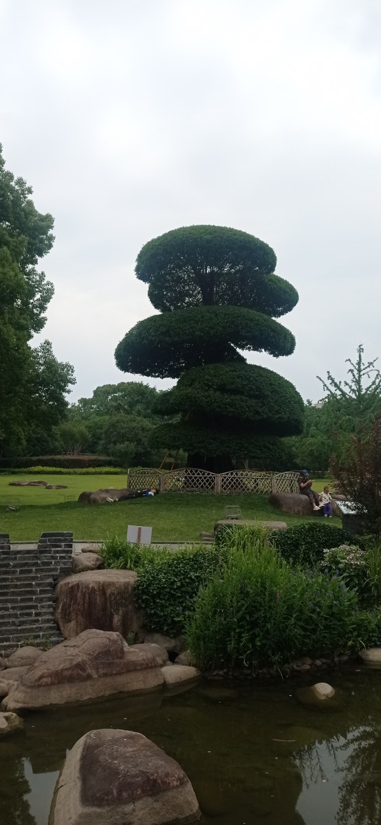 20250531_130343.jpg