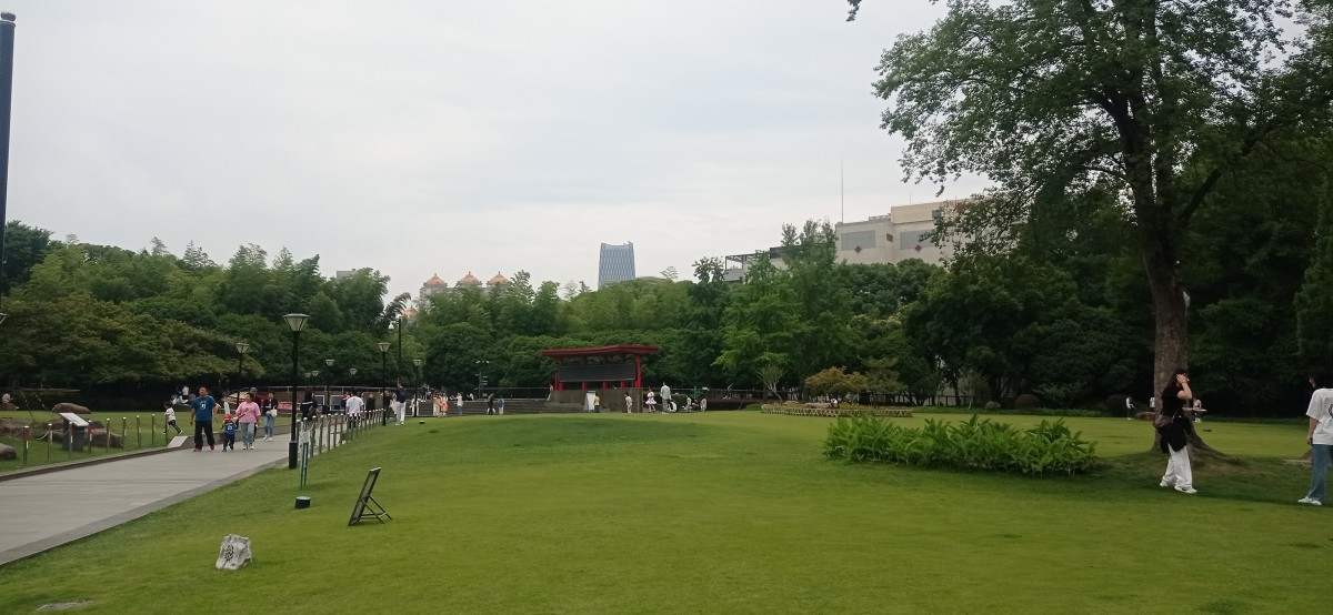 20250531_130414.jpg
