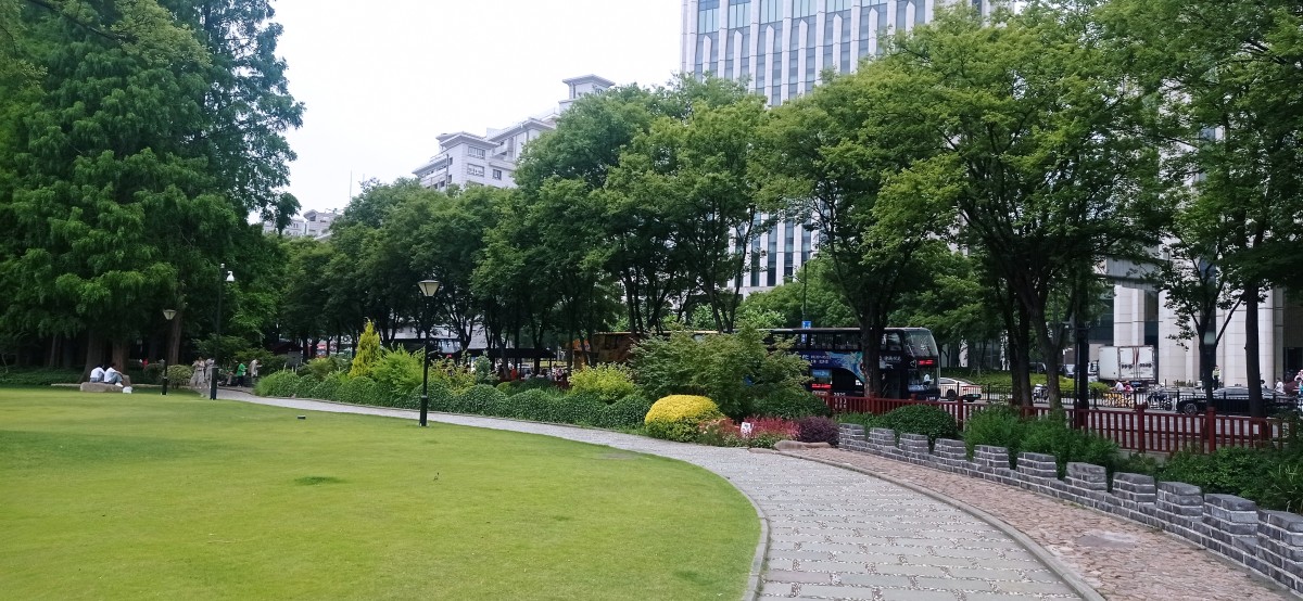 20250531_130417.jpg